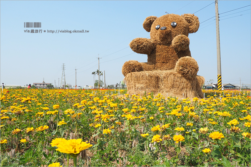 太保花海》嘉義太保花海節～夢幻拼布花田真實登場‧小熊狗狗等裝置藝術俏皮又可愛！