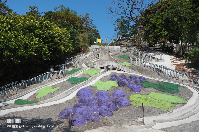 彰化一日遊》芬園＋草屯趴趴玩～賞黃金風鈴木、吃在地小吃、逛景點！就跟著Via醬玩！