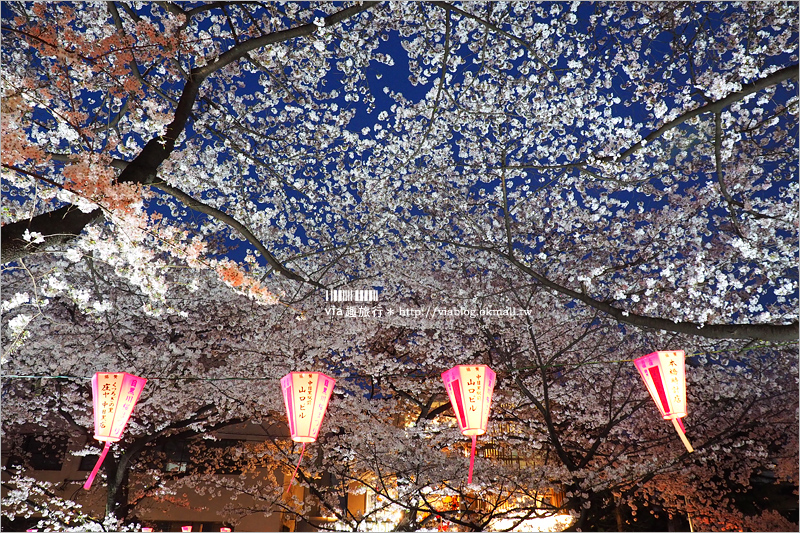 目黑川夜櫻》東京夜櫻推薦～超美！超人氣賞櫻點！人潮炸了還是要去朝聖的夢幻中目黑櫻花