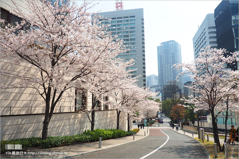 東京飯店》MIMARU東京赤坂‧MIMARU TOKYO AKASAKA～親子住宿推薦！房型美且都有廚房！地鐵四分鐘超方便！