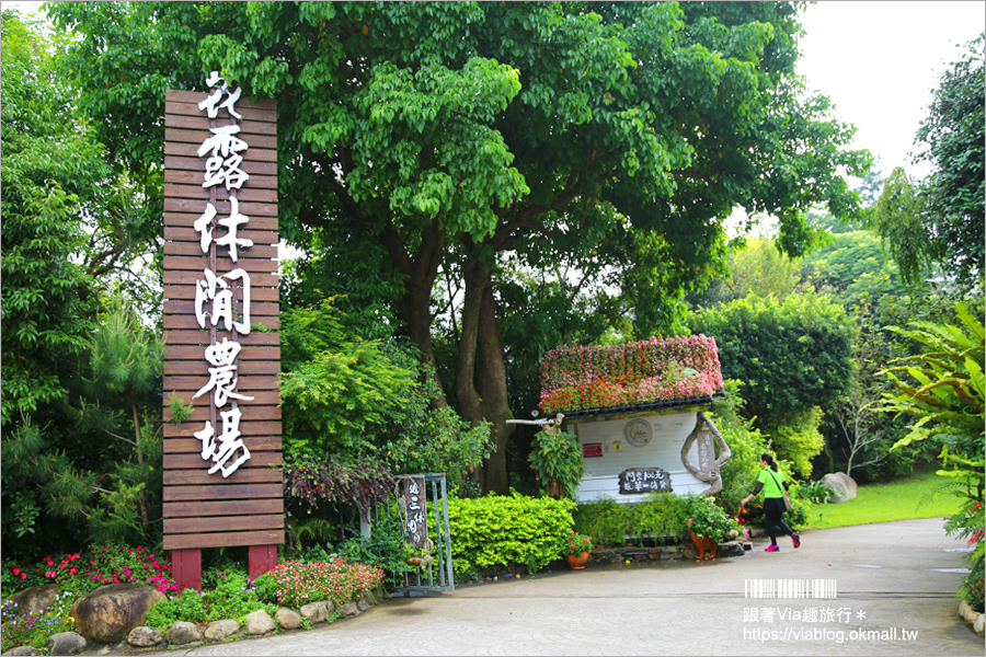 苗栗景點》花露休閒農場～不止薰衣草！繡球花小花園盛開也很美！