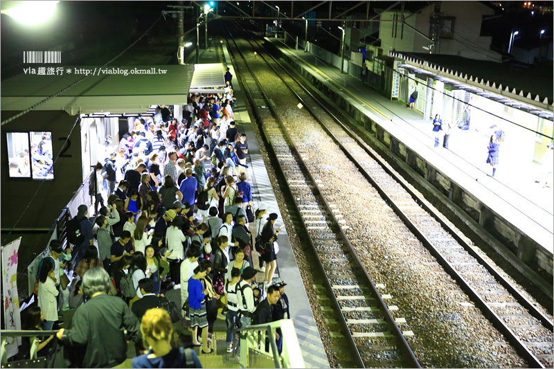 足利紫藤公園（夜景篇）》足利紫藤一日遊～夜晚更浪漫！紫藤滿開日夜雙景全記錄！