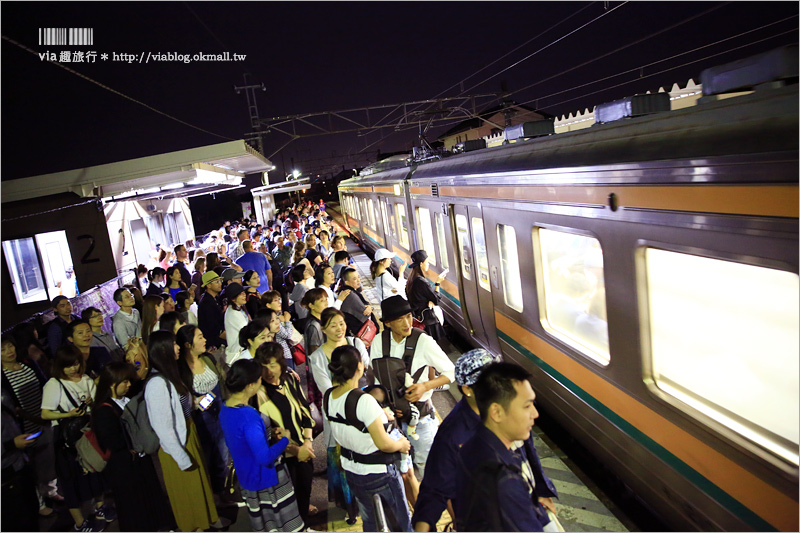 足利紫藤公園（夜景篇）》足利紫藤一日遊～夜晚更浪漫！紫藤滿開日夜雙景全記錄！