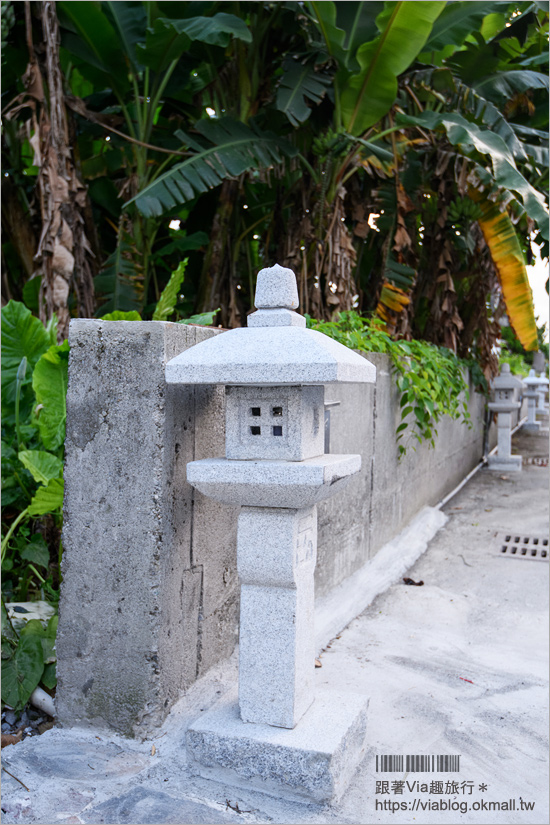 花蓮秘境景點》花蓮豐田村～尋訪當年日本移民村風采！豐田神社、豐裡國小、壽豐鄉文史館、五味屋之旅