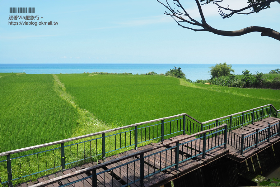 花蓮海鮮餐廳》噶瑪蘭風味餐～好好味！活跳跳的美味龍蝦大餐～價格平實透明化的在地好店！