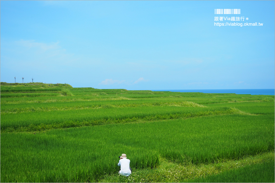 花蓮海鮮餐廳》噶瑪蘭風味餐～好好味！活跳跳的美味龍蝦大餐～價格平實透明化的在地好店！