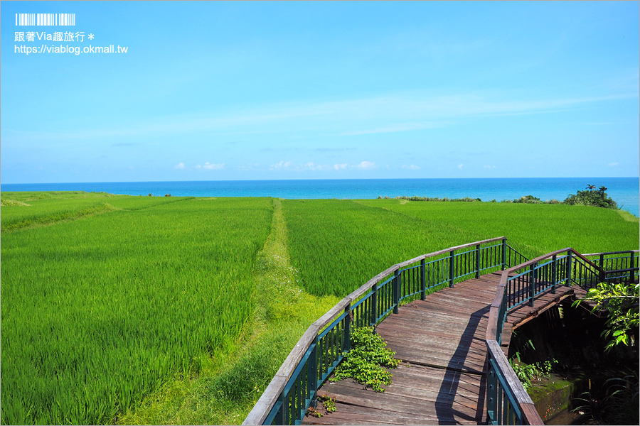 花蓮海鮮餐廳》噶瑪蘭風味餐～好好味！活跳跳的美味龍蝦大餐～價格平實透明化的在地好店！