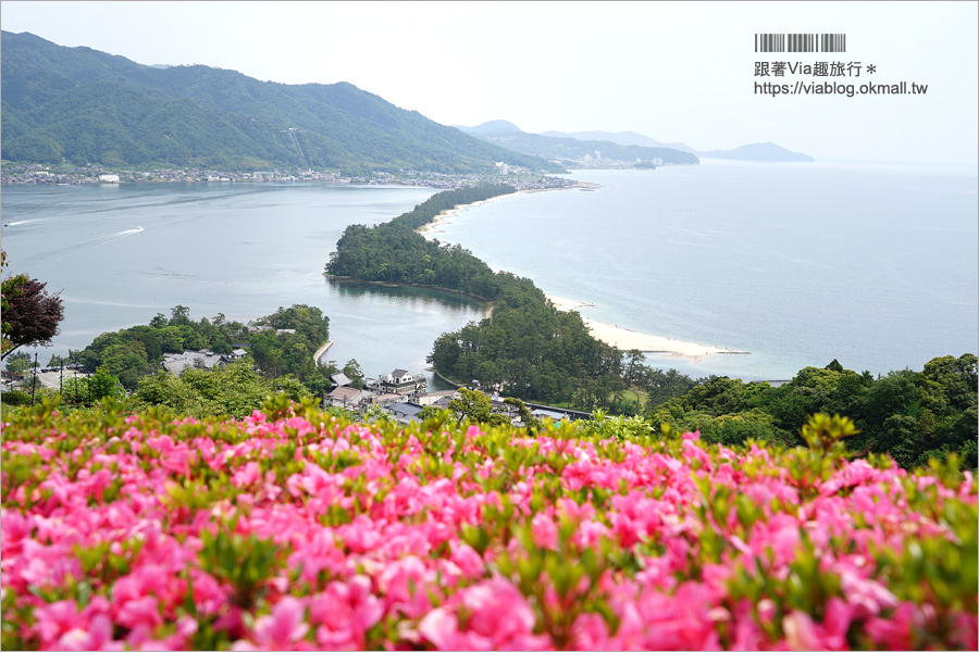 京都景點》宮津‧天橋立～必去日本三景！飛龍觀景台上倒立欣賞飛龍在天的特殊景致！