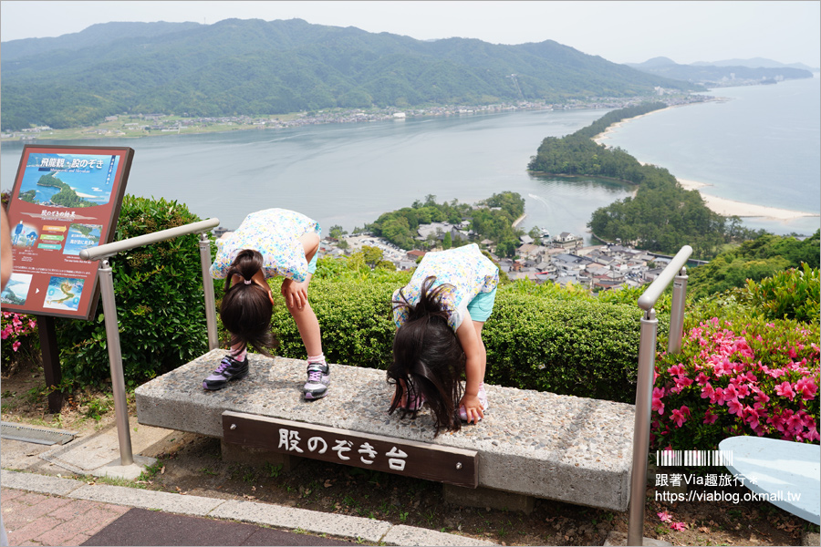 京都景點》宮津‧天橋立～必去日本三景！飛龍觀景台上倒立欣賞飛龍在天的特殊景致！