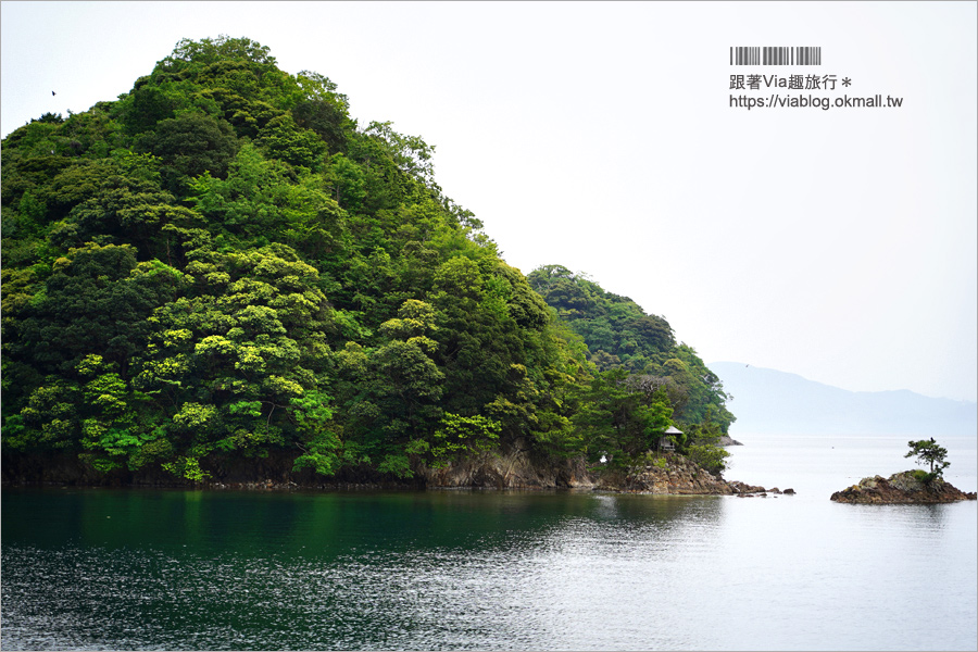 京都必遊景點》伊根舟屋～來去海上舟屋感受海之京都魅力‧船上餵食秀好特別又刺激！