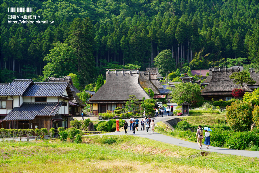 京都旅遊》美山町かやぶきの里～綠色版美山町超美！必去～日本三大茅葺屋聚落！