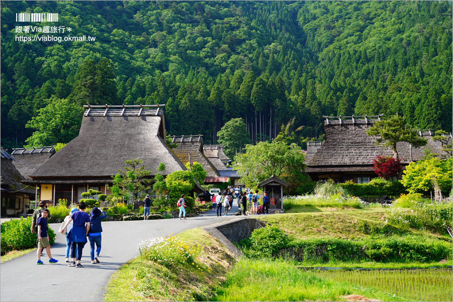 京都旅遊》美山町かやぶきの里～綠色版美山町超美！必去～日本三大茅葺屋聚落！