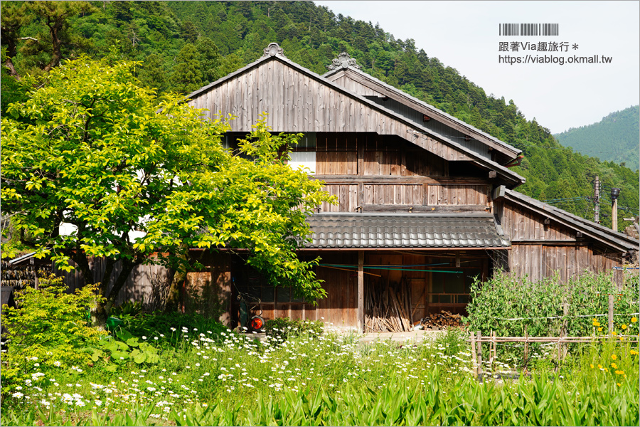 京都旅遊》美山町かやぶきの里～綠色版美山町超美！必去～日本三大茅葺屋聚落！