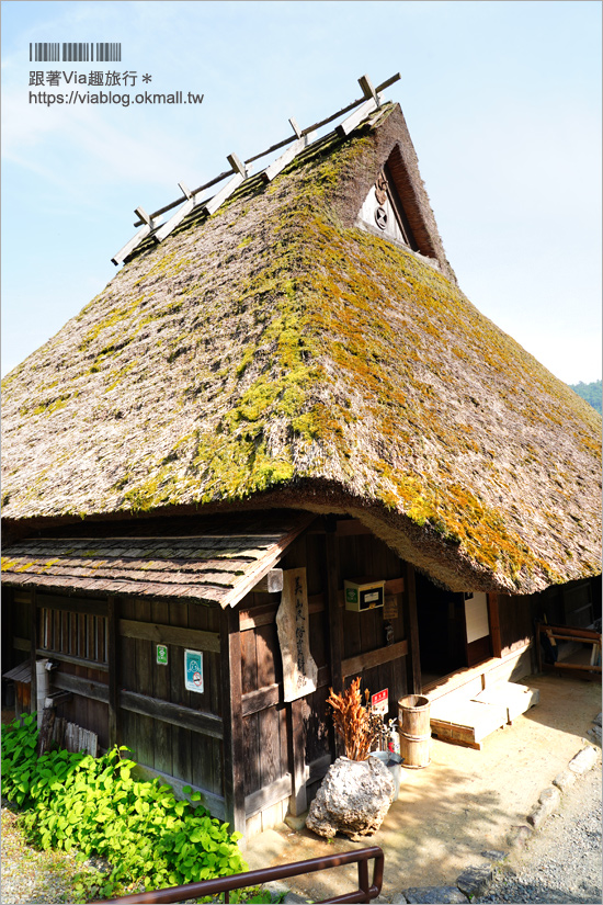 京都旅遊》美山町かやぶきの里～綠色版美山町超美！必去～日本三大茅葺屋聚落！