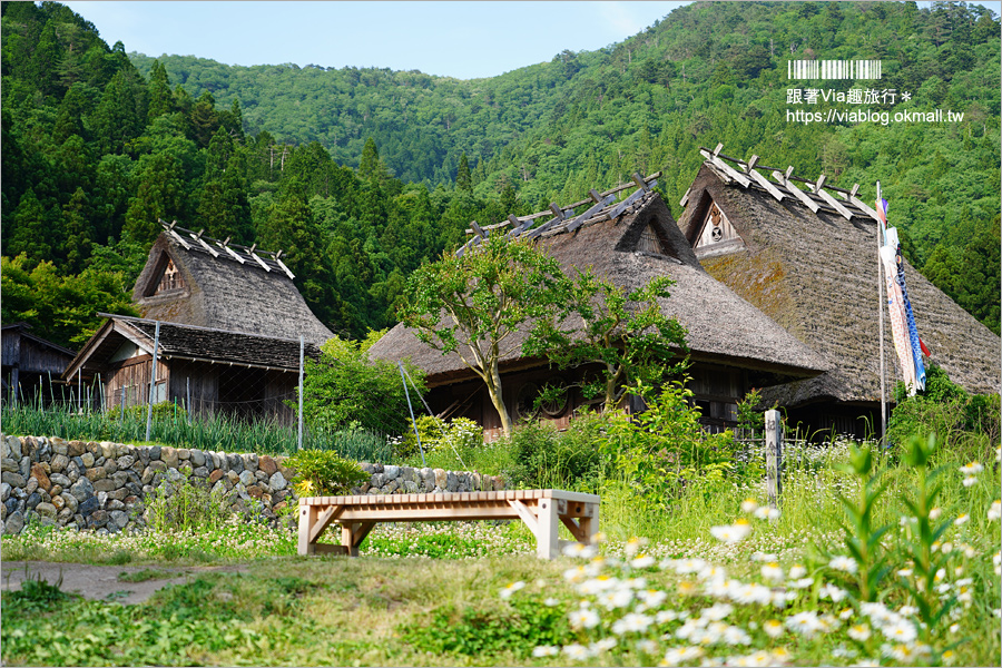 京都旅遊》美山町かやぶきの里～綠色版美山町超美！必去～日本三大茅葺屋聚落！