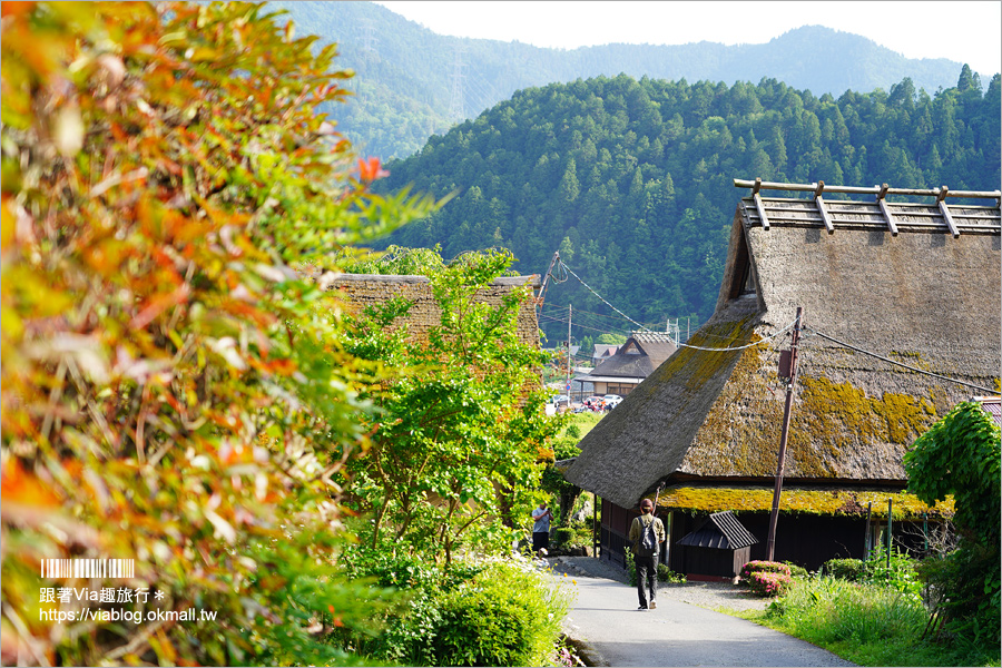 京都旅遊》美山町かやぶきの里～綠色版美山町超美！必去～日本三大茅葺屋聚落！