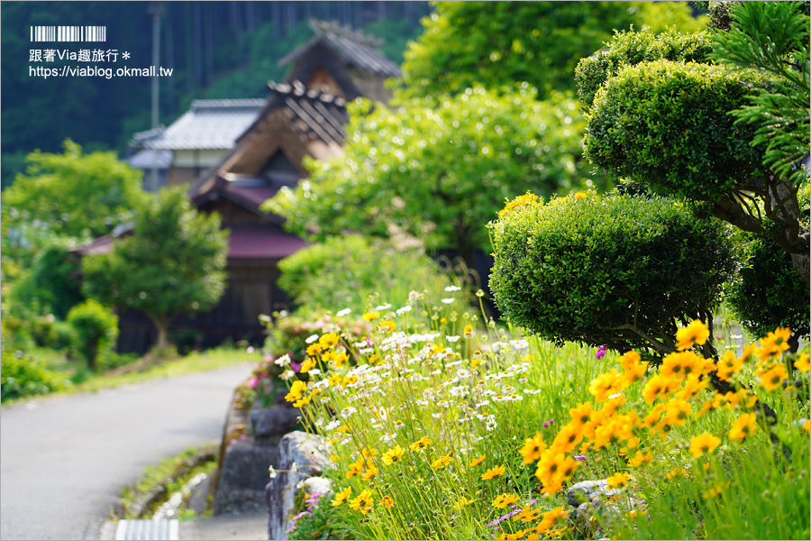 京都旅遊》美山町かやぶきの里～綠色版美山町超美！必去～日本三大茅葺屋聚落！