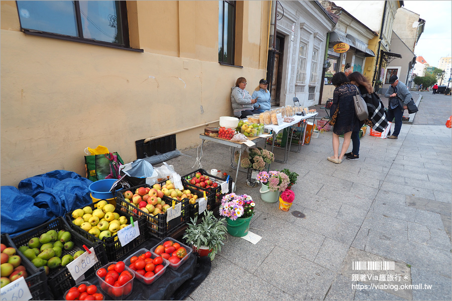 斯洛伐克旅遊》科希策景點｜舊城區一日遊就醬玩～Singing fountain、Lower Gate、St. Michael’s Chapel、Eastern Slovak Museum