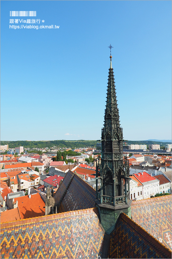 科希策景點》聖伊麗莎白主教座堂St.Elizabeth Cathedral～斯洛伐克最大教堂＋夜遊舊城區美景