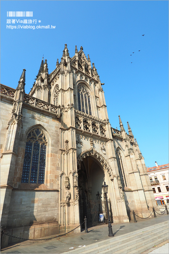 科希策景點》聖伊麗莎白主教座堂St.Elizabeth Cathedral～斯洛伐克最大教堂＋夜遊舊城區美景