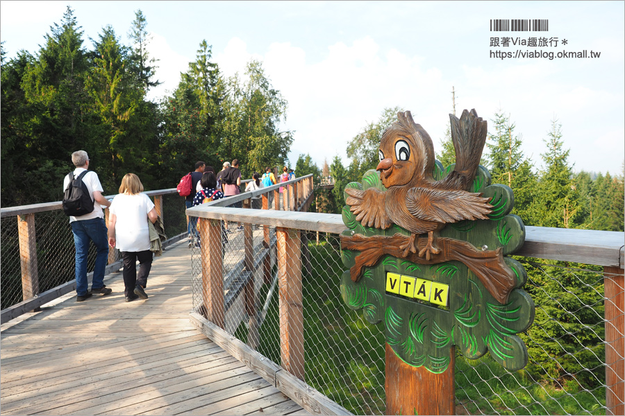 斯洛伐克自由行》Treetop walk Bachledka～森林中樹頂步道，挑戰心臟之餘又有美景相伴的新景點！