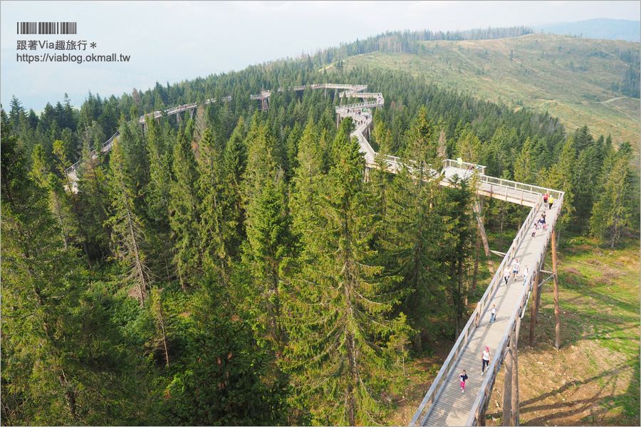 斯洛伐克自由行》Treetop walk Bachledka～森林中樹頂步道，挑戰心臟之餘又有美景相伴的新景點！