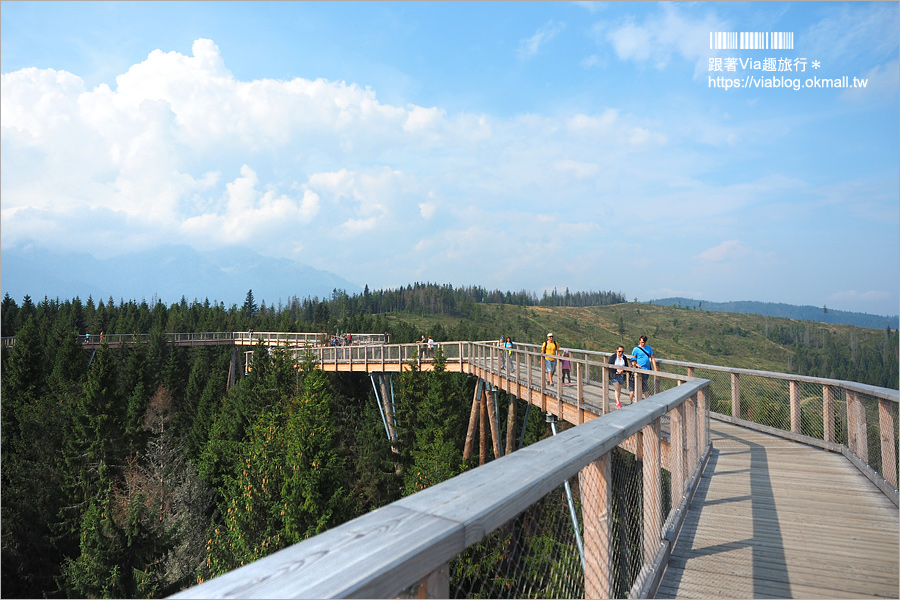 斯洛伐克自由行》Treetop walk Bachledka～森林中樹頂步道，挑戰心臟之餘又有美景相伴的新景點！