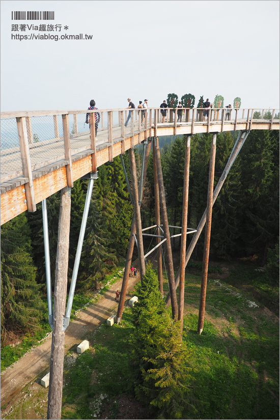 斯洛伐克自由行》Treetop walk Bachledka～森林中樹頂步道，挑戰心臟之餘又有美景相伴的新景點！