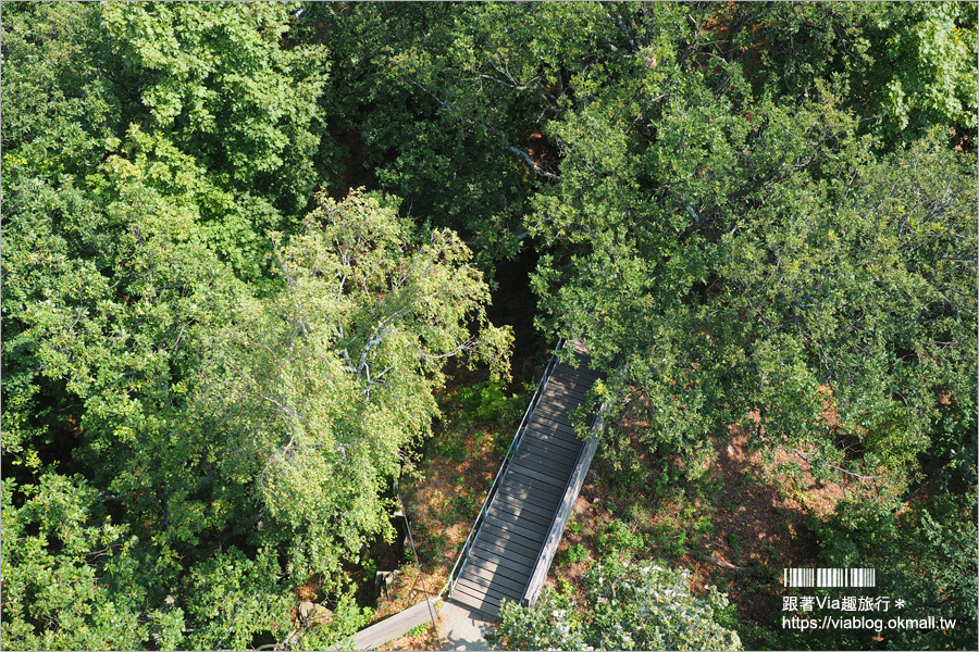 科希策景點》市郊小旅行～Children’s Railway兒童鐵路親子遊＆Lookout Tower Košice科希策最高觀景台