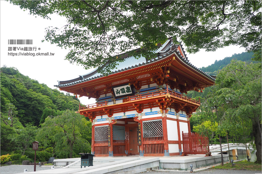 大阪一日遊》勝尾寺～滿滿的達摩不倒翁好驚人！祈求勝運的寺廟～大阪必去的紅葉名所！