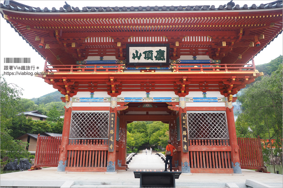 大阪一日遊》勝尾寺～滿滿的達摩不倒翁好驚人！祈求勝運的寺廟～大阪必去的紅葉名所！