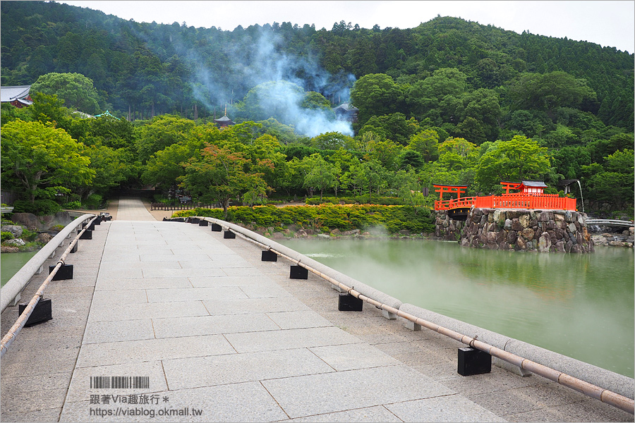 大阪一日遊》勝尾寺～滿滿的達摩不倒翁好驚人！祈求勝運的寺廟～大阪必去的紅葉名所！