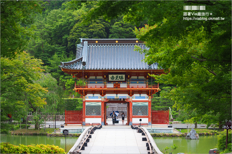 大阪一日遊》勝尾寺～滿滿的達摩不倒翁好驚人！祈求勝運的寺廟～大阪必去的紅葉名所！