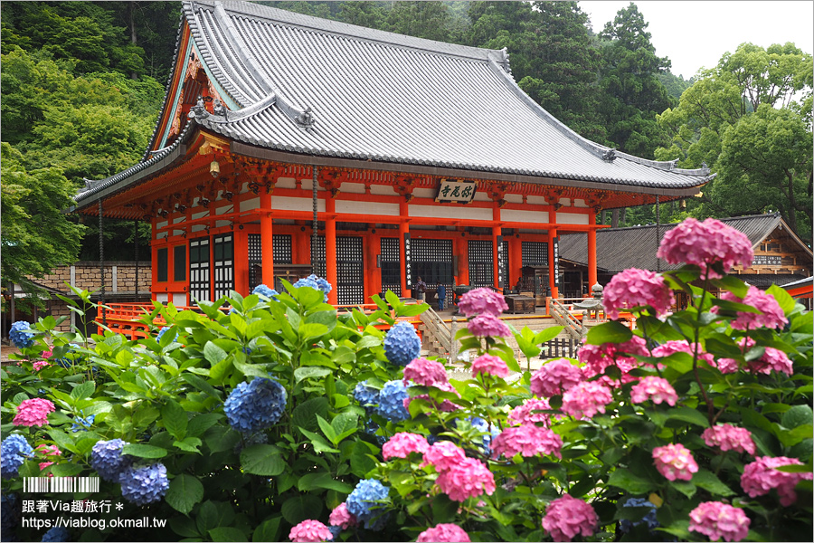 大阪一日遊》勝尾寺～滿滿的達摩不倒翁好驚人！祈求勝運的寺廟～大阪必去的紅葉名所！