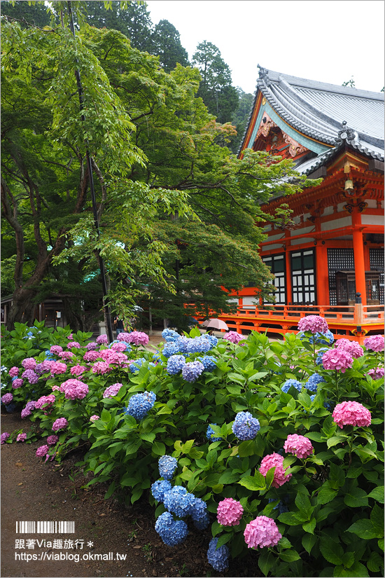 大阪一日遊》勝尾寺～滿滿的達摩不倒翁好驚人！祈求勝運的寺廟～大阪必去的紅葉名所！