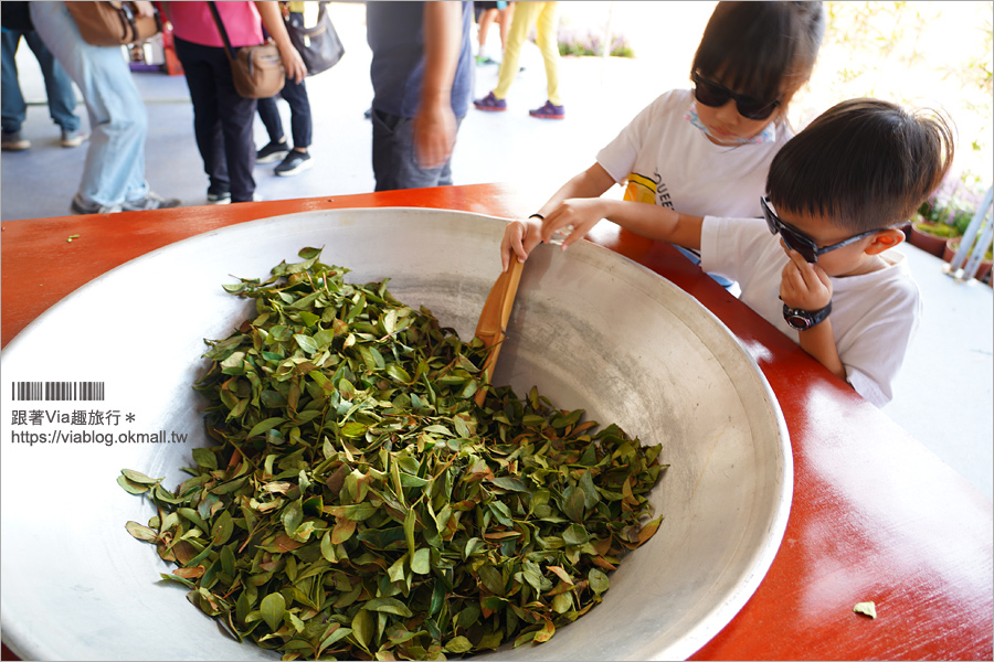 南投世界茶業博覽會》2018活動開始～世界好茶齊聚！《茶與茶菓子香遇時光》推薦必吃茶點！