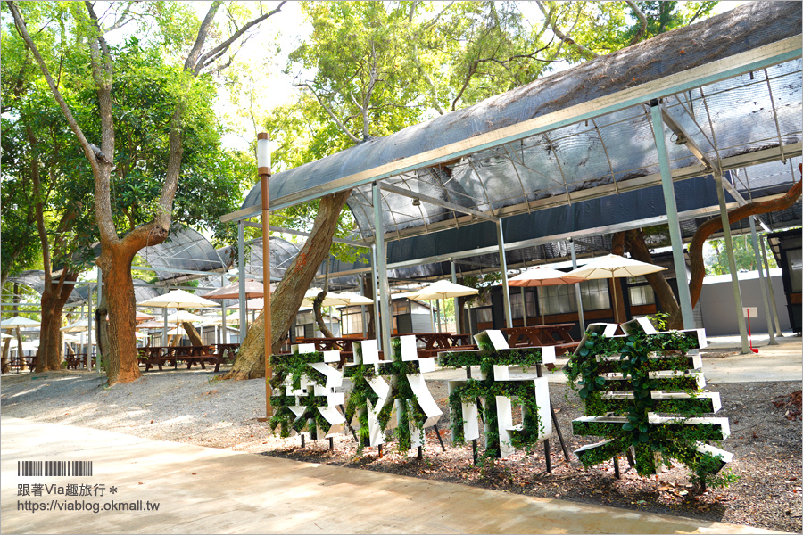 台中花博》后里馬場森林園區～精彩搶先看：國際庭園、原民主題、石虎的家、森林市集都在這一區！