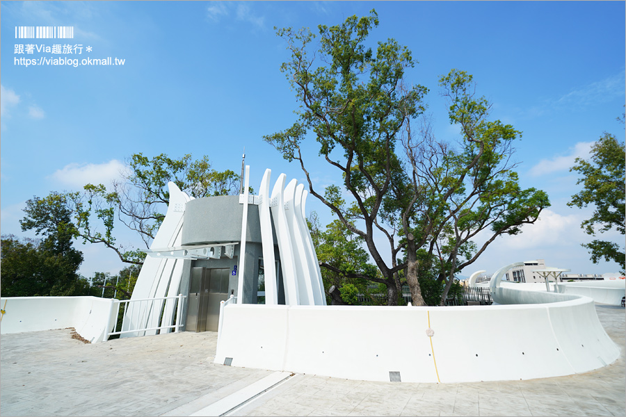 台中花博》后里馬場森林園區～精彩搶先看：國際庭園、原民主題、石虎的家、森林市集都在這一區！