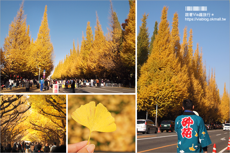 東京賞楓》東京箱根自由行行程～紅葉+銀杏+點燈+溫泉～五日遊懶人包！一次大滿足！