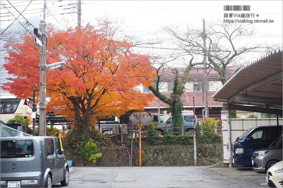 箱根美食推薦》田村銀勝亭(田むら 銀かつ亭)炸豬排豆腐套餐～開店前就在排隊的人氣餐廳！