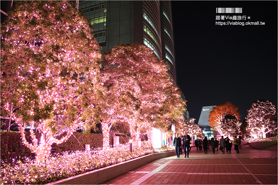 東京點燈》新宿燈節《新宿空中遊城燈彩》～粉紅世界！唯一「櫻花粉」的浪漫點燈展！