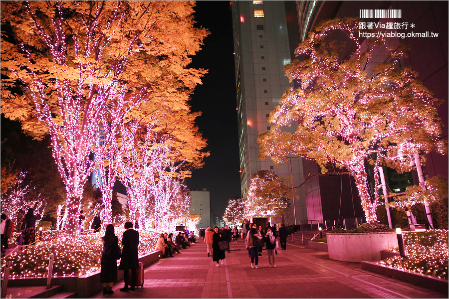 東京點燈》新宿燈節《新宿空中遊城燈彩》～粉紅世界！唯一「櫻花粉」的浪漫點燈展！