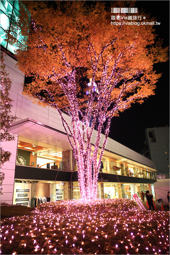 東京點燈》新宿燈節《新宿空中遊城燈彩》～粉紅世界！唯一「櫻花粉」的浪漫點燈展！