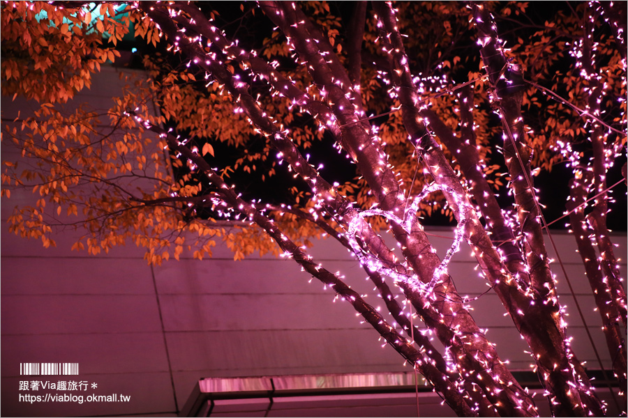 東京點燈》新宿燈節《新宿空中遊城燈彩》～粉紅世界！唯一「櫻花粉」的浪漫點燈展！