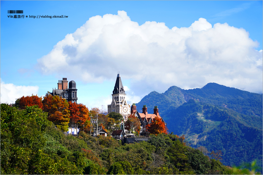 清境旅遊》清境落羽松(下)～美翻了！必賞落羽松美景：老英格蘭莊園／凡賽斯高山旅店