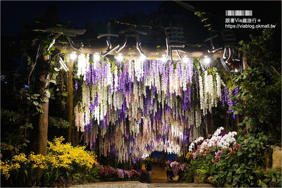 台南景點》大坑休閒農場～親子景點！紫藤花隧道、採草莓、動物互動區及船屋咖啡館