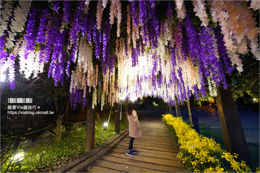 台南景點》大坑休閒農場～親子景點！紫藤花隧道、採草莓、動物互動區及船屋咖啡館