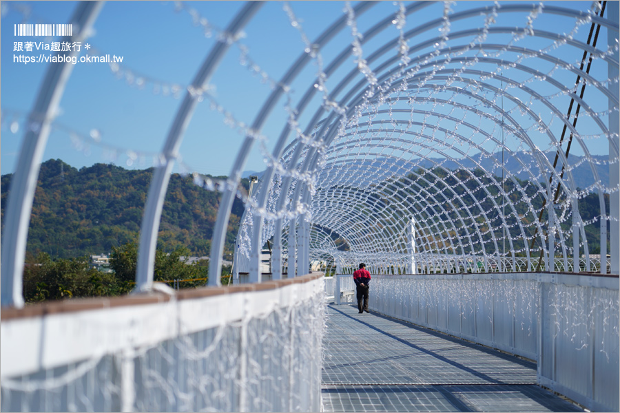 南投浪漫情人橋》春節走春景點推薦～花海、水舞、情人橋免費參觀！日夜雙景都精彩！