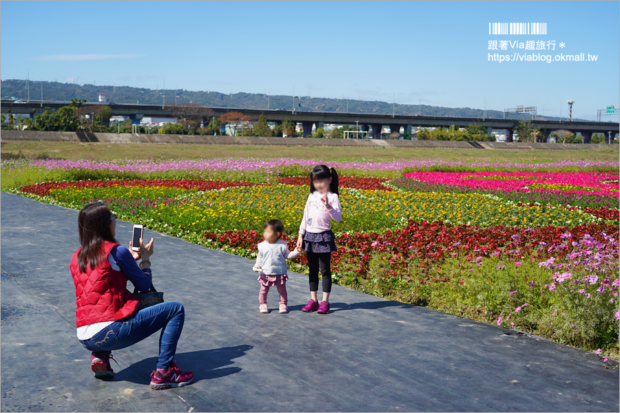 南投浪漫情人橋》春節走春景點推薦～花海、水舞、情人橋免費參觀！日夜雙景都精彩！