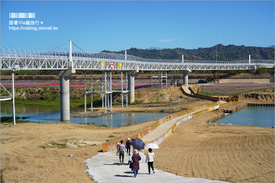 南投浪漫情人橋》春節走春景點推薦～花海、水舞、情人橋免費參觀！日夜雙景都精彩！